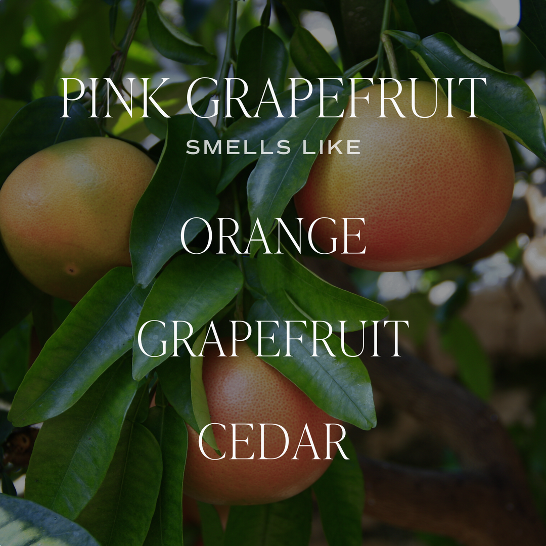 Pink Grapefruit Reed Diffuser - Home Decor and Gifts